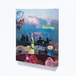 Come To Marlboro Country, 12 x 12 x 2", detail 1 Come To Marlboro Country, 12 x 12 x 2", detail 1