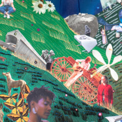 I, Coyote, Still Wonder (detail 3) – SOLD