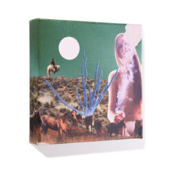 I Wish I Was The Moon, angle 1, SOLD