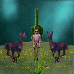 Meeting Myself for the First Time, Again, 10 x 10 x 2", crop – SOLD Meeting Myself for the First Time, Again, 10 x 10 x 2", crop – SOLD