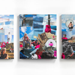 The Nature of Violence, triptych, 24 x 60 x 2"
