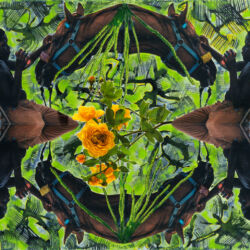 There, There Wild Spirit, 16 x 20 x 2", crop There, There Wild Spirit, 16 x 20 x 2", crop