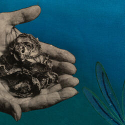 The Past, 30 x 24 x 2", an artistic collaboration with George Middleton, Detail 5